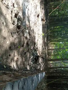 DIJUAL CEPAT BU Tanah Murah 150 meter²