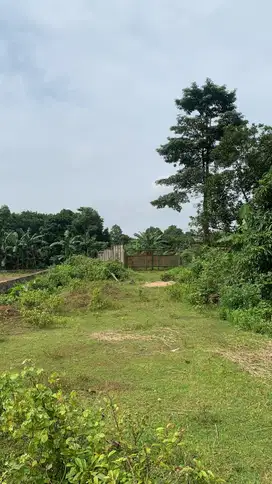 Dijual Tanah Lokasi Strategis Di Daerah Serang Banten