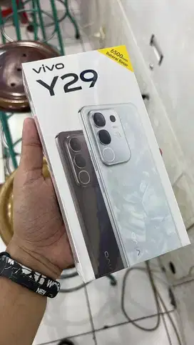 Vivo Y29 series