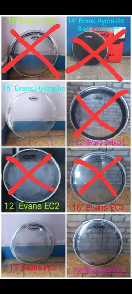 Drum head Evans