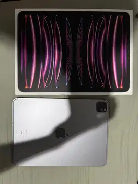 Ipad Pro M2 Grey 256gb Cell Ibox