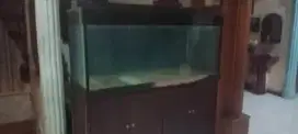 AQUARIUM cabinet