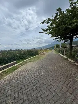Tanah pekarangan batu harga murah