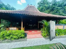 rumah homestay bagus di kota Yogjakarta