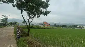 Tanah pingir jln raya cilengsi  cibubur murah nego cash