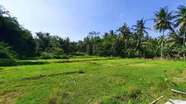 Tanah Kavling di Nanggulan Kulon Progo, Dekat Gamplong Studio