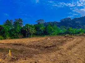 Jual kavling nempel jalan