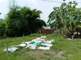 Tanah sukoharjo 199m² muka 13m , 50m dari jalan raya Kartasura