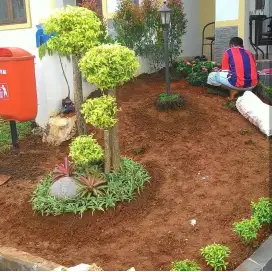 Tukang bikin taman pasang rumput
