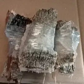 Kulit kayu jamblang
