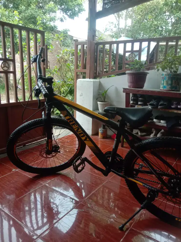 Dijual sepeda org dewasa