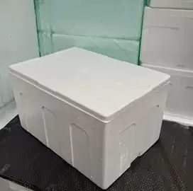 Box Styrofoam jumbo