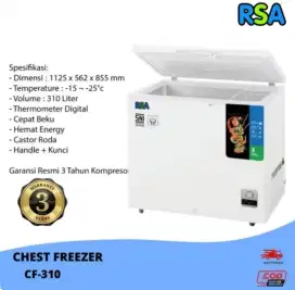 FREEZER box RSA 310L