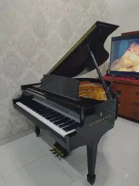 Grand Piano Steinway & Sons type S