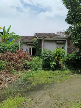 Dijual Cepat tanpa pelantara
