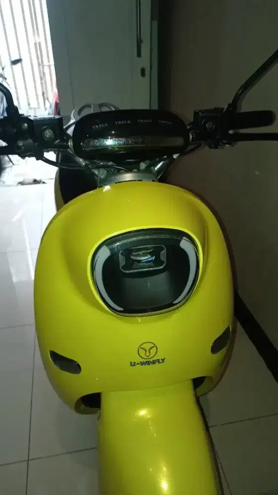 Uwinfly golden turtle