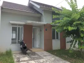 Disewakan Rumah Cluster Hawaii Sentraland Paradise Parung Panjang