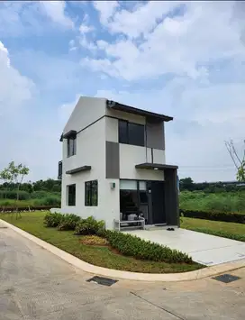 ARTZY HAUZ ROLLING HILLS TYPE BOLD X