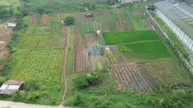 Dijual Tanah Kawasan Industri Trested Pasir Jaya, Cikupa - Tangerang