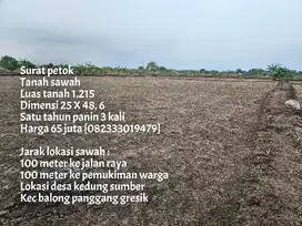 Termurah Tanah sawah dekat jl. raya & pemukiman warga
