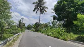 Jual Tanah Pinggir Jalan Luas 919 m² Lokasi  Strategis