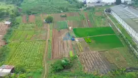 Jual Tanah Industri di Kawasan Tunas, Cikupa,Tangerang - Banten