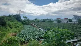 Tanah Malang Kawasan Pegunungan Dekat Kampus UB