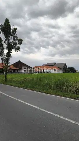 Disewakan tanah area Canggu strategis
