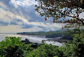 Dijual Tanah Cepat Dan Di Bawah Pasar Kawasan Pariwisata Tabanan