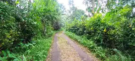 Dijual Tanah View Sawah Tabanan