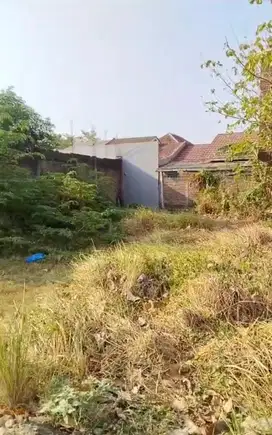 tanah kavling samping griya jati
