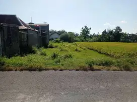 Tanah Sawah Murah di Belakang Kids Fun, Piyungan, Bantul