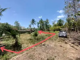 Dijual Tanah Kavling hanya 200 meter dari Jalan Nasional, Kulonprogo