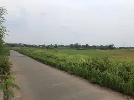 Dijual Cepat Tanah Desa Kroper Kresek Pinggir Tol