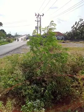 Dijual Tanah Strategis dekat Bandara dan pintu Tol di Ngemplak, Byl
