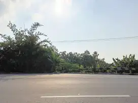 Dijual Tanah Luas Lokasii Pinggir jalan prof Hamka Semarang
