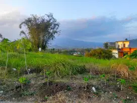 Dijual Tanah Dekat Kampus UIN 3 Malang