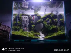 Aquarium fullset