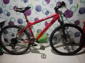 Sepeda gunung mtb 26