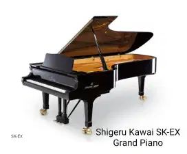 Grand piano Shigeru Kawai SK-EX Ebony polish