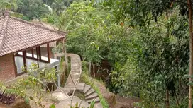 Freehold - Stunning Ubud Property with Breathtaking Valley Views