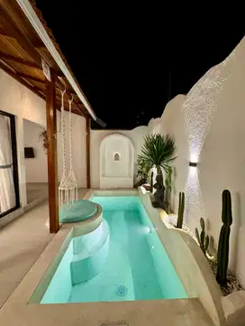 For Rent Beautiful Villa in Seseh Munggu