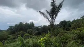 Murah Tanah 1021 m2 Dekat Rest Area 97 Darangdan Purwakarta
