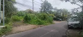 dijual tanah komersil lokasi ubud bali