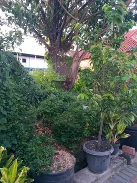 Tanah Villa Bukit Permai Surabaya