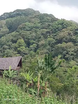 Tanah di Bedugul Bali dekat danau view jungle dan lembah