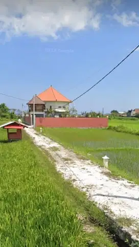 Freehold 12 Are of Prime Land in Ketewel, Gianyar - Beautiful Ocean