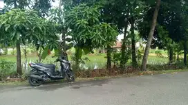 Dijual Tanah Strategis Pinggir Jalan Desa Citalang Kota Purwakarta