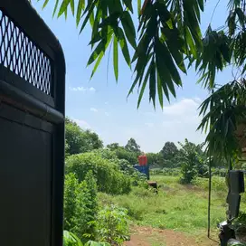 Dijual Tanah Cikeusal Serang