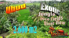 2,600 m2 Land Sale closed to Mas Traditional Market